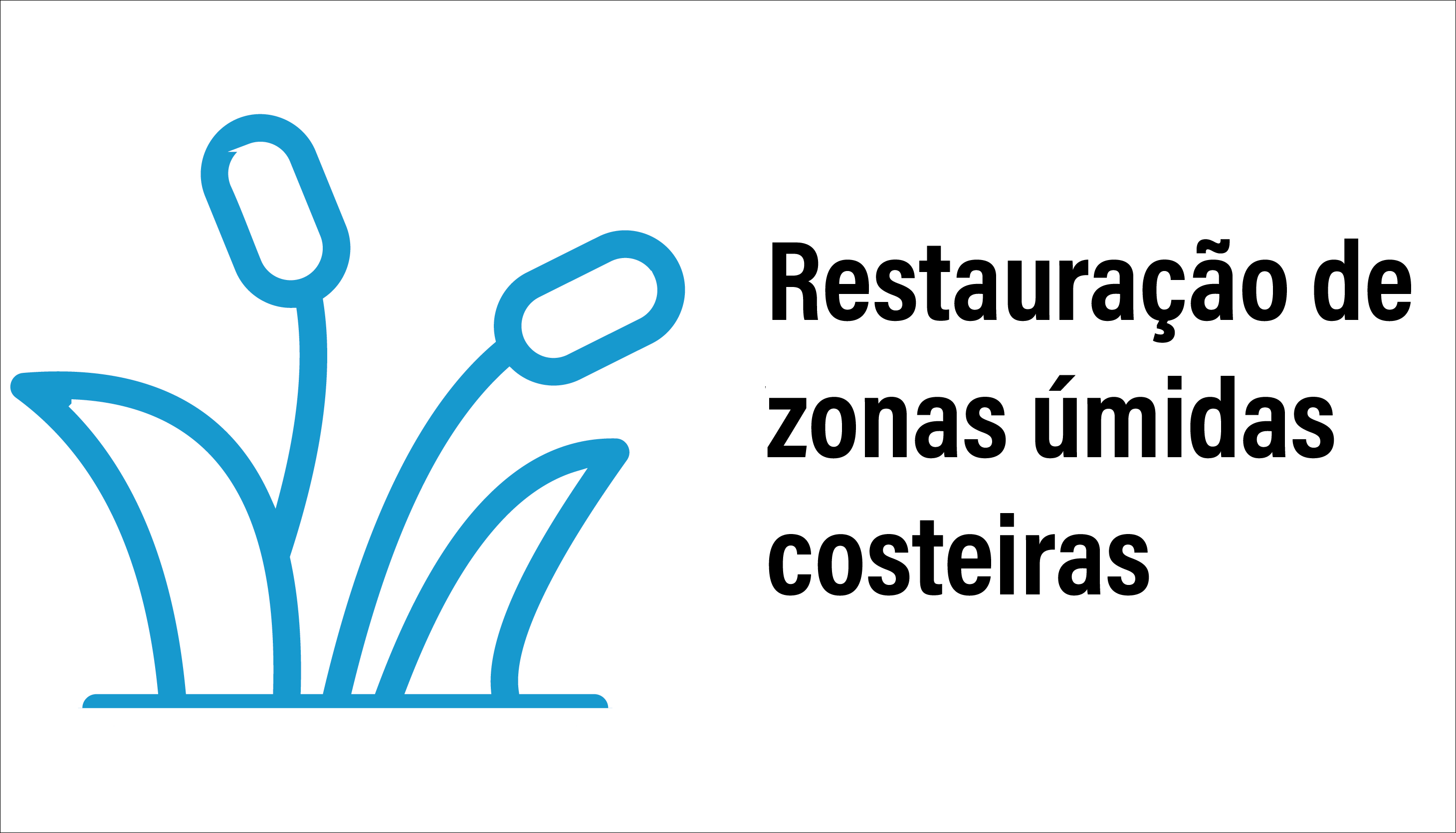 gramíneas pantanosas saindo do contorno da água