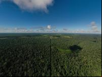 Linhares - Espírito Santo. Visão aérea de árvores e plantações. 