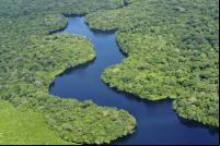 Mudanças na legislação colocam em risco a Floresta amazônica (foto: Neil Palmer/CIAT/Wikimedia Commons)