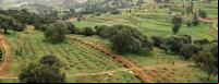 Terras agrícolas e florestas lado a lado em Tigray, na Etiópia