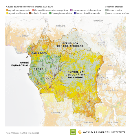 Perda de cobertura florestal na Bacia do Congo