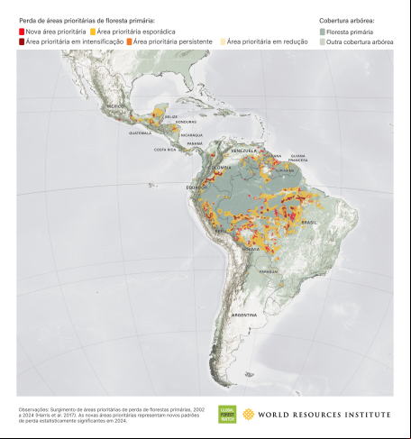 Perda de cobertura florestal na América Latina