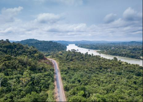Vista aérea da floresta entrecortada pela BR 163 e o rio Jamanxim